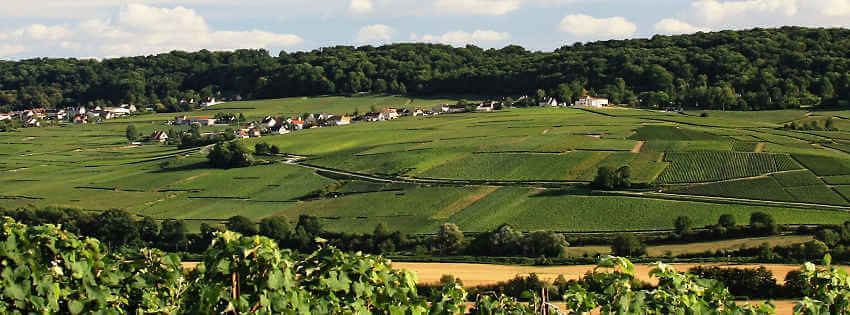 Tourisme en Champagne