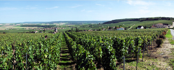 La Montagne de Reims