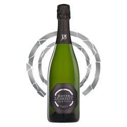 Champagne Xavier LORIOT Fragments de Noirs