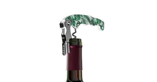 Sommelier Koala Tropical en appui sur le goulot d’une bouteille