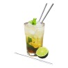 Pailles droites en inox Vin Bouquet dans un cocktail au citron vert