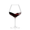 Verre Masterclass 90 Xtreme Italesse avec du vin rouge