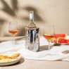 Bouteille de vin à table dans la gaine Rapid Ice argent Vacu Vin