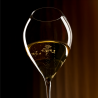 Calice du verre Grand Champagne Lehmann et bulles de champagne en gros plan