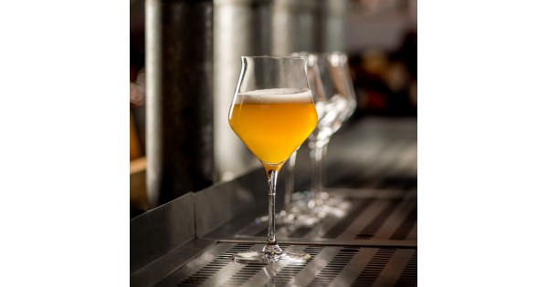 Verres Craft Lehmann remplis de bière avec mousse