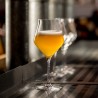 Verres Craft Lehmann remplis de bière avec mousse