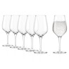 Lot de 6 verres universels Exquisit 42 cl Stölzle Lausitz avec dimensions