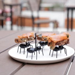 Pics apéritifs Fourmis Kikkerland portant des bouchées sur une assiette