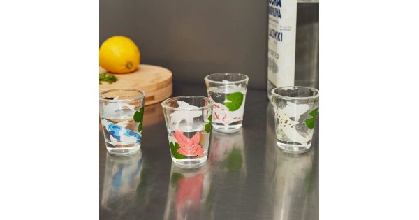 Verres Carpes Koï Kikkerland remplis, décors colorés révélés par le froid
