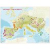 Carte murale des vignobles d’Europe Benoît France, régions viticoles et tableau par pays