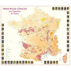 Poster des principaux cépages de France Benoît France, carte entourée d’illustrations de raisins
