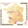 Poster des principaux cépages de France Benoît France, carte entourée d’illustrations de raisins