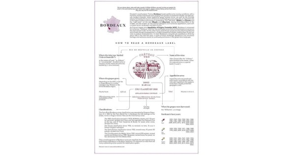 Fiche pédagogique des cépages et vins de Bordeaux du puzzle Water and Wines