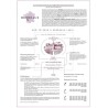 Fiche pédagogique des cépages et vins de Bordeaux du puzzle Water and Wines