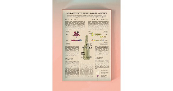 Page pédagogique sur les vins bourguignons du puzzle Water and Wines