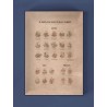 Page pédagogique sur les styles de bière du puzzle Water and Wines