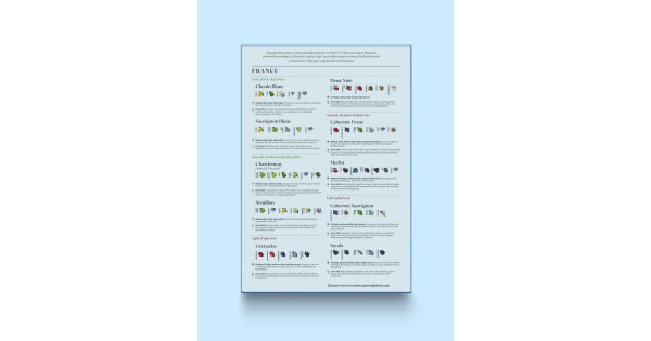 Guide des cépages sur la boîte du puzzle France Water and Wines