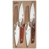 Coffret de quatre couteaux Chalopin Roger Orfèvres à manches en bois assortis