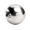 Glaçon boule réutilisable Titanium Spirits en acier inoxydable