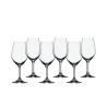 Les six verres de dégustation Expert Spiegelau du lot