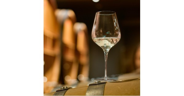 Verre ŒnoXpert présenté avec du vin blanc sur une table de dégustation