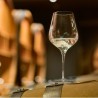Verre ŒnoXpert présenté avec du vin blanc sur une table de dégustation